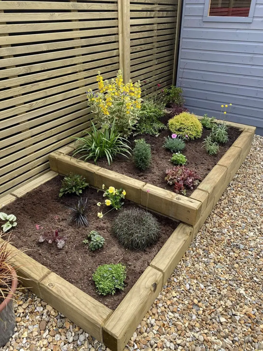 Timber sleeper raised bed planted up on gravel