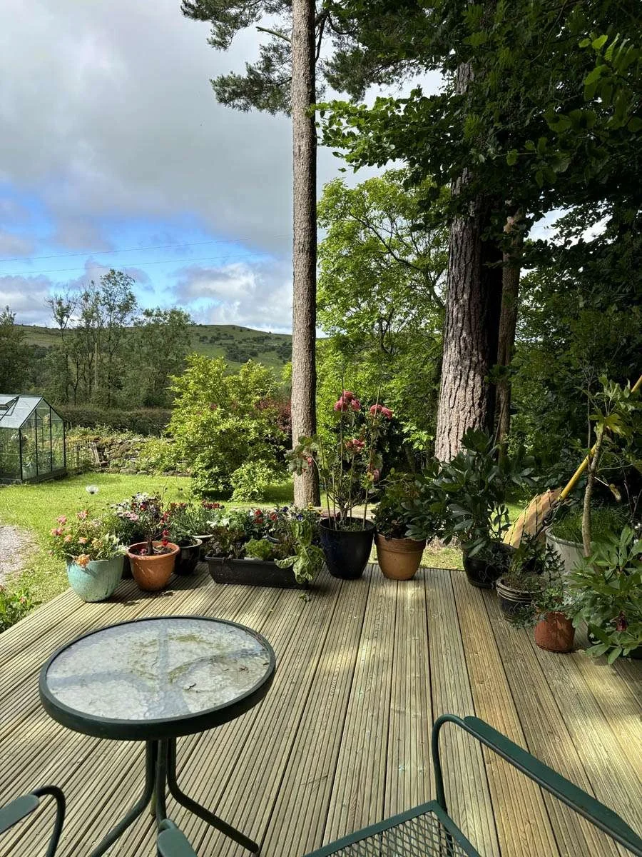 Timber deck with a glass table and potted plants